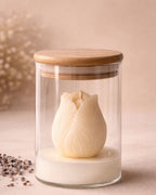 Tulip in Jar